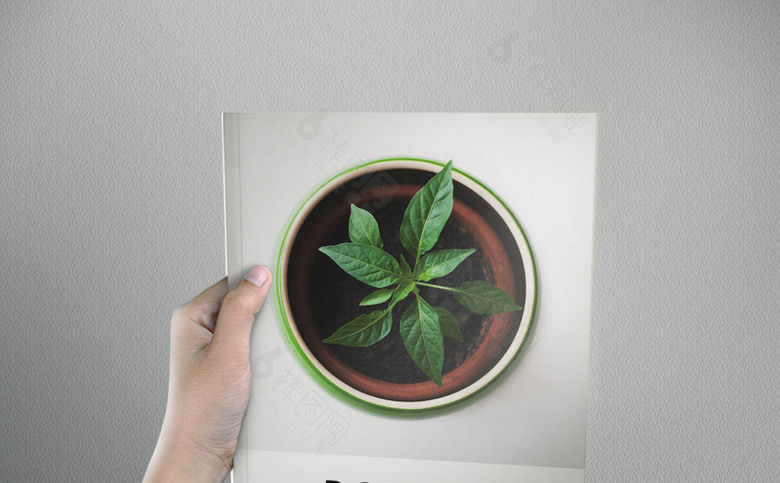 盆栽画册