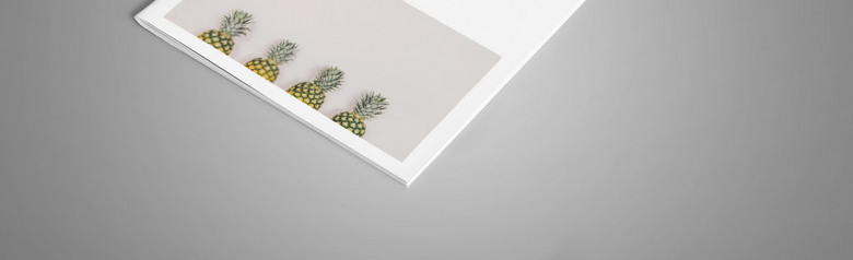 水果植物摄影画册
