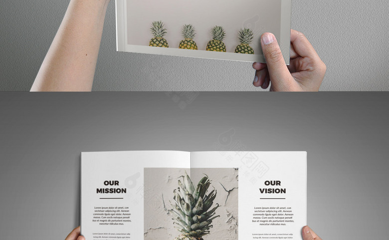 水果植物摄影画册