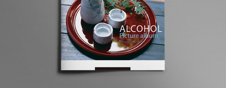 白酒宣传画册模板