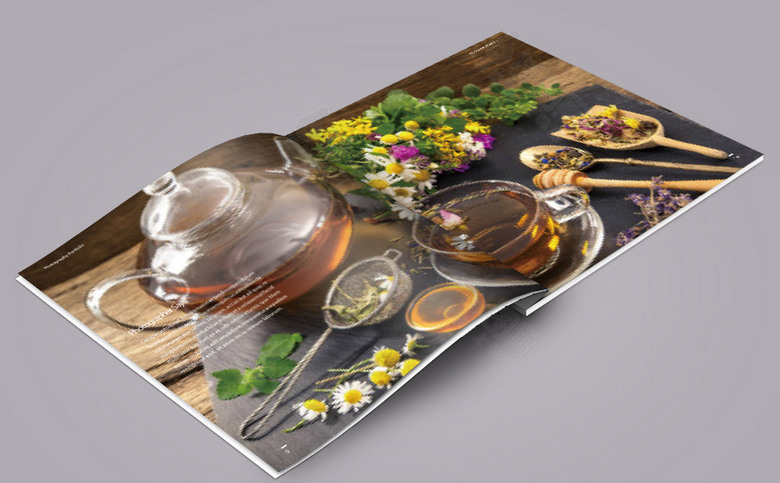 花茶画册模板