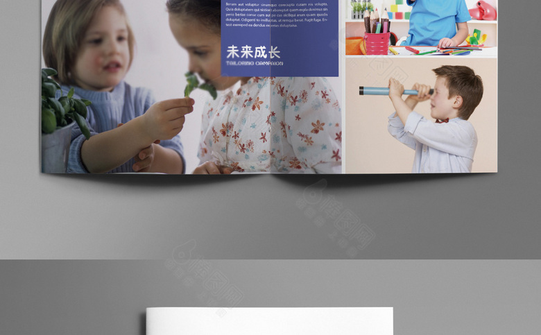 个性大气教育培训画册