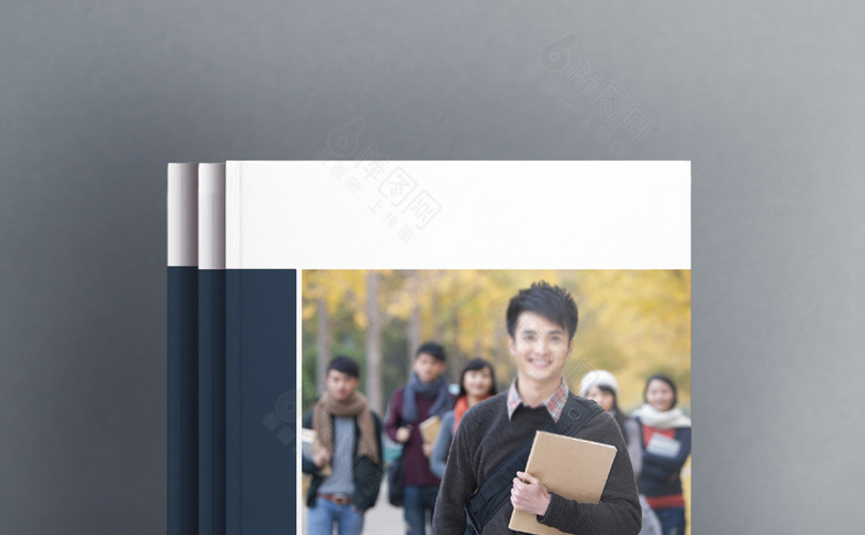 简约个性学校画册