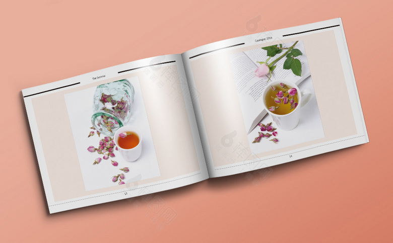 简约清新花茶画册