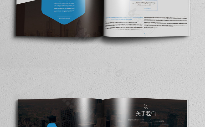 精品集团企业画册设计