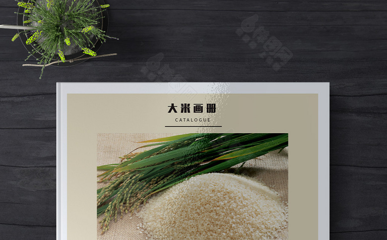 经典大米画册