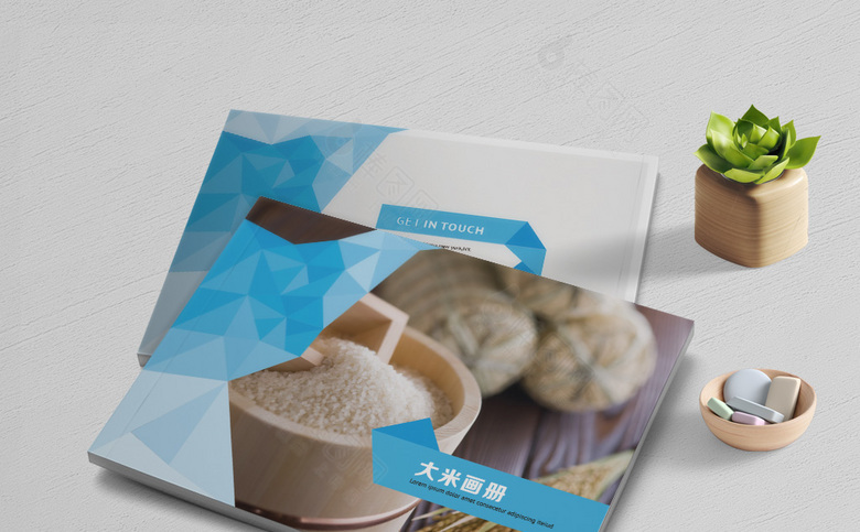 个性简约大米画册