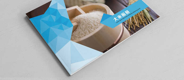 个性简约大米画册