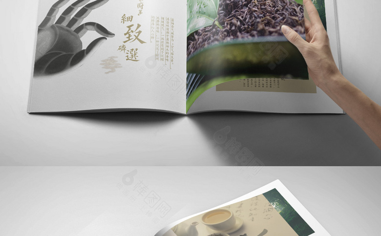 中国风茶叶画册