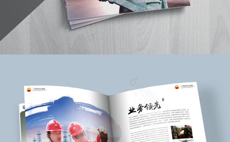中国石油画册