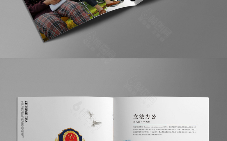 大气城管画册设计