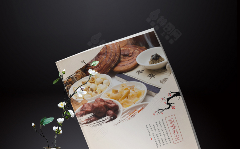 中式保健品画册