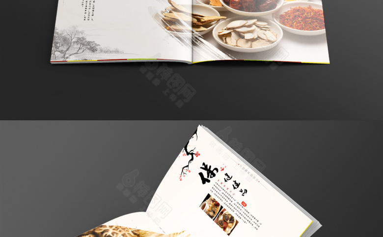 中式保健品画册