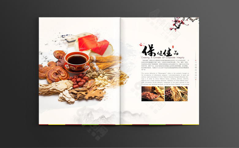 中式保健品画册