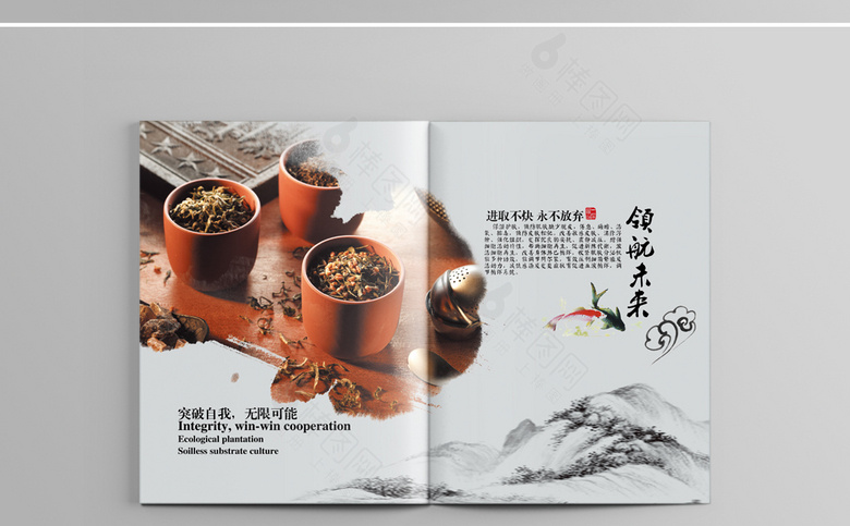 中国风茶画册设计模板