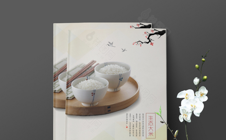 中国风大米画册