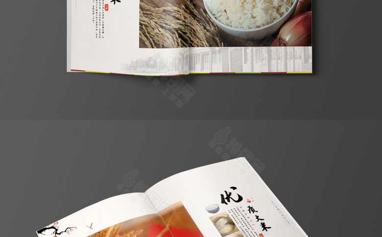 中国风大米画册