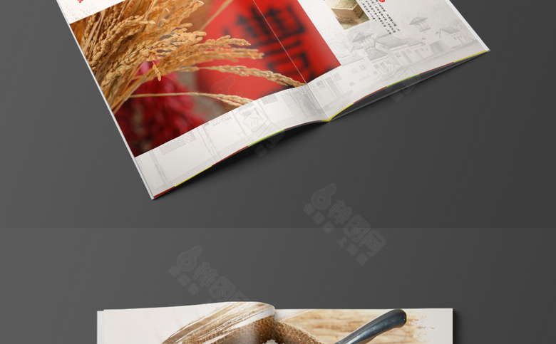 中国风大米画册