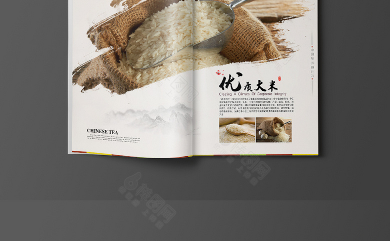 中国风大米画册
