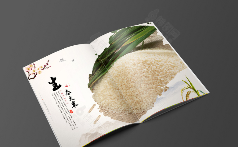 中国风大米画册