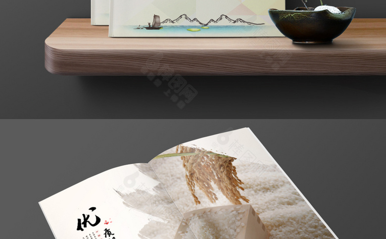 中国风大米画册