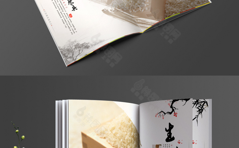 中国风大米画册
