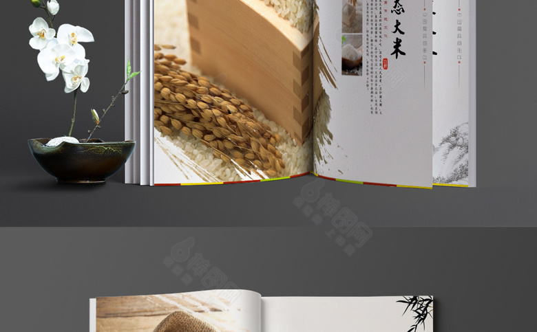中国风大米画册