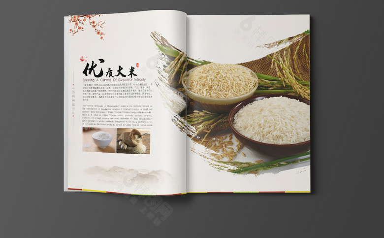 中国风大米画册