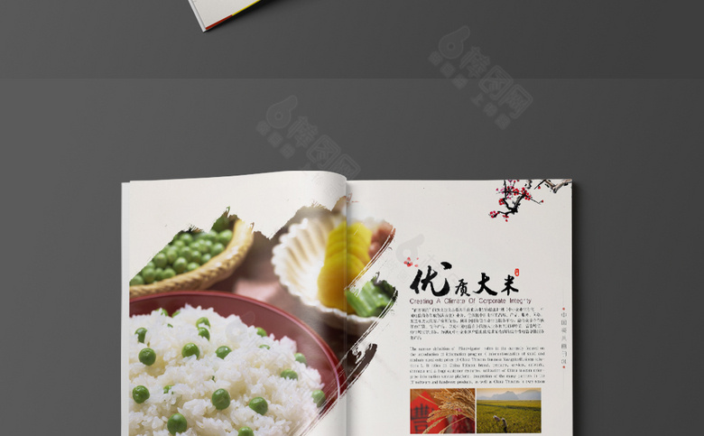 中国风大米画册