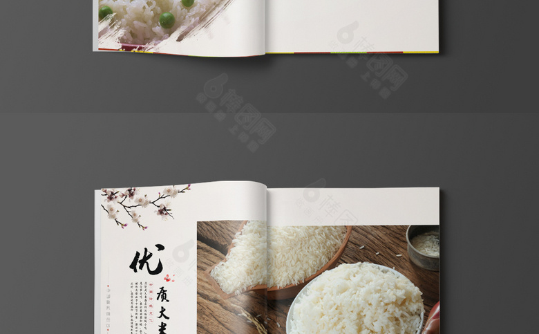 中国风大米画册
