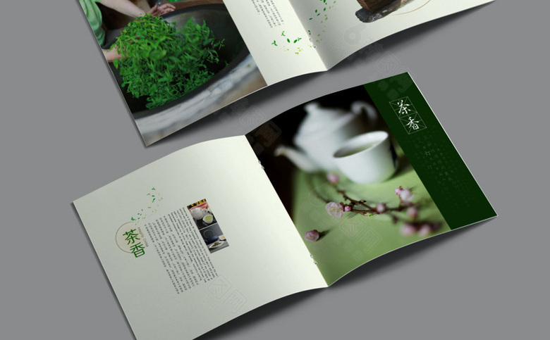 中国风茶画册设计
