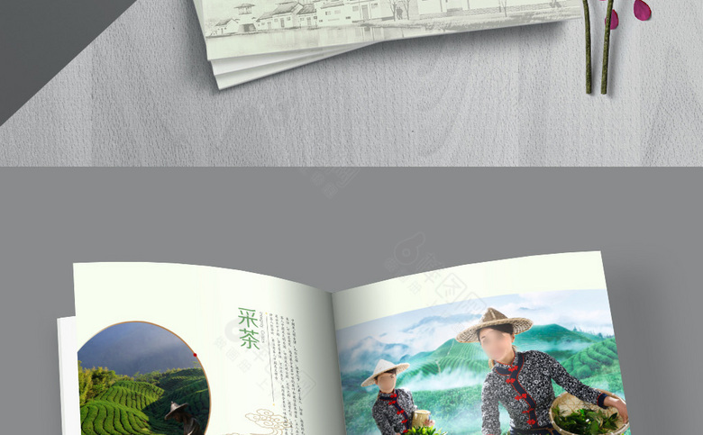 中国风茶画册设计
