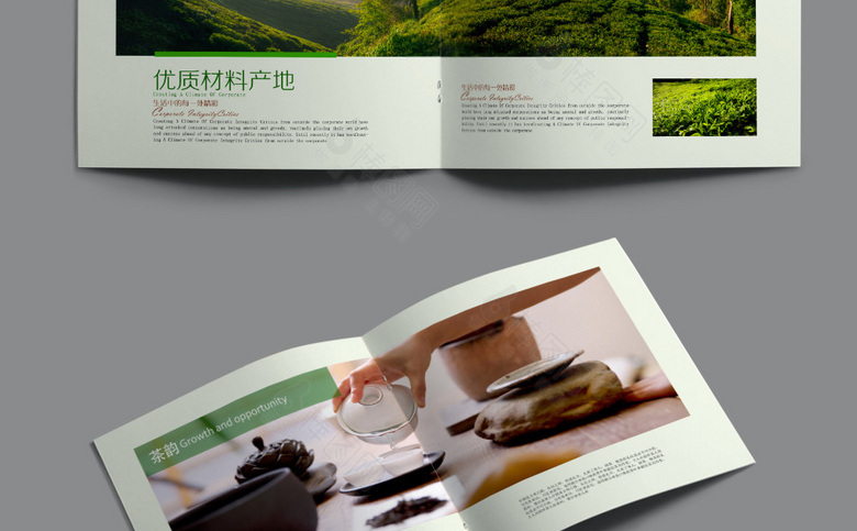 中国风茶画册设计