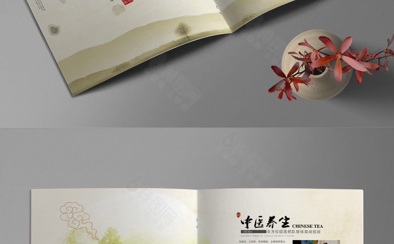 中医养生画册