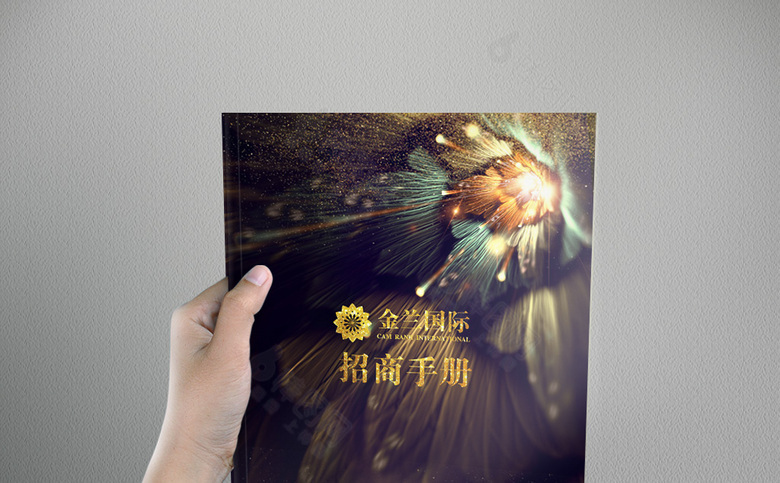 炫丽地产楼书