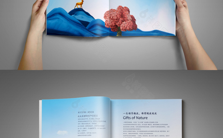手绘别墅地产楼书