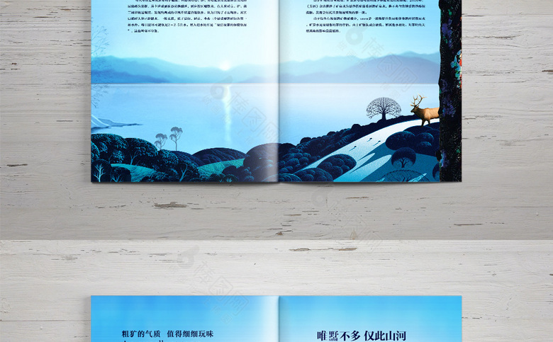 插画房地产宣传册设计