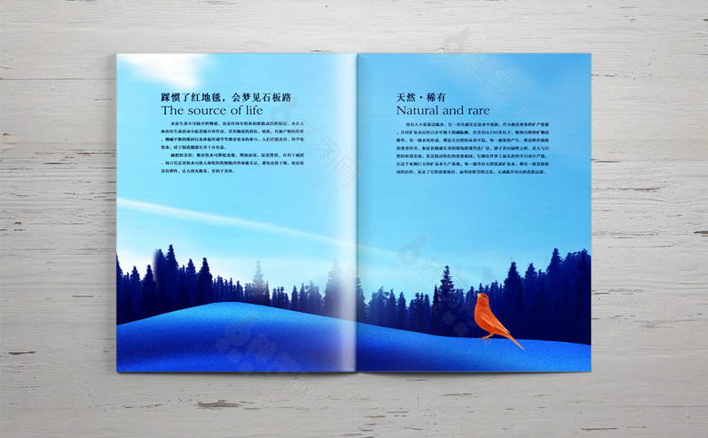 插画房地产宣传册设计
