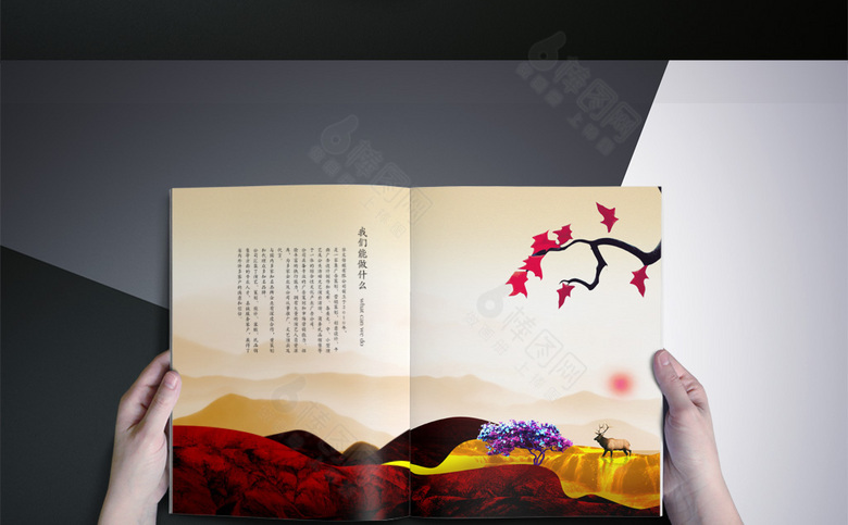 手绘房地产画册设计