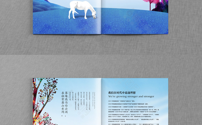 高档插画地产画册
