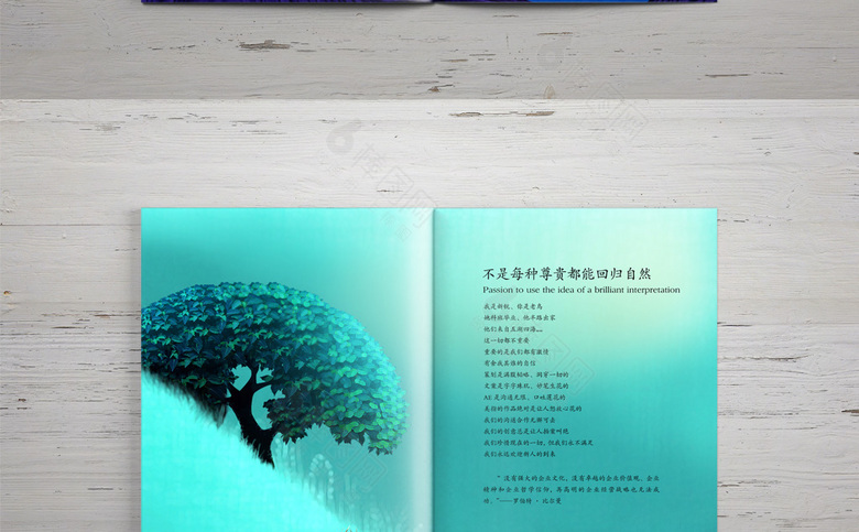 手绘地产楼书