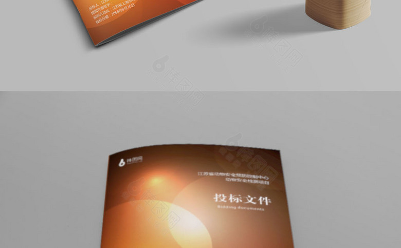 精美时尚投标文件