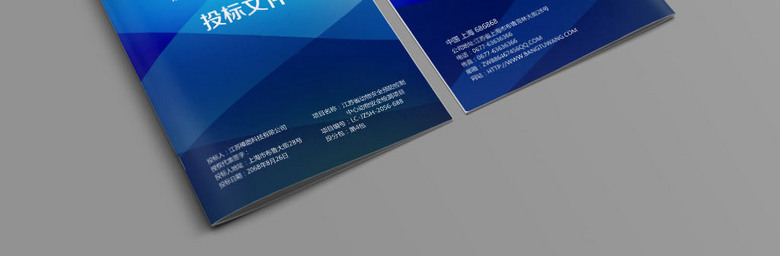 蓝色标书封皮模板设计