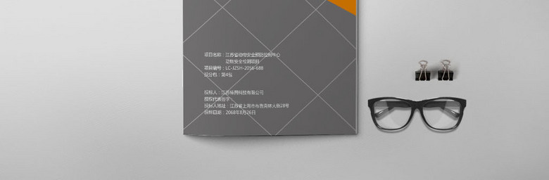 高档投标文件模板设计