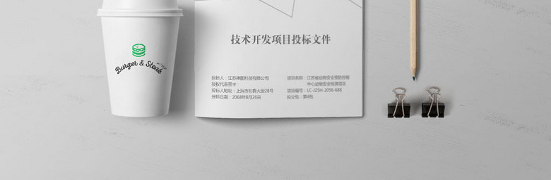 高档标书封皮设计模板