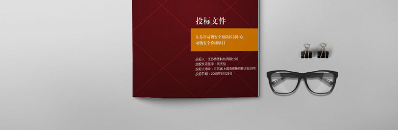 高档标书模板设计