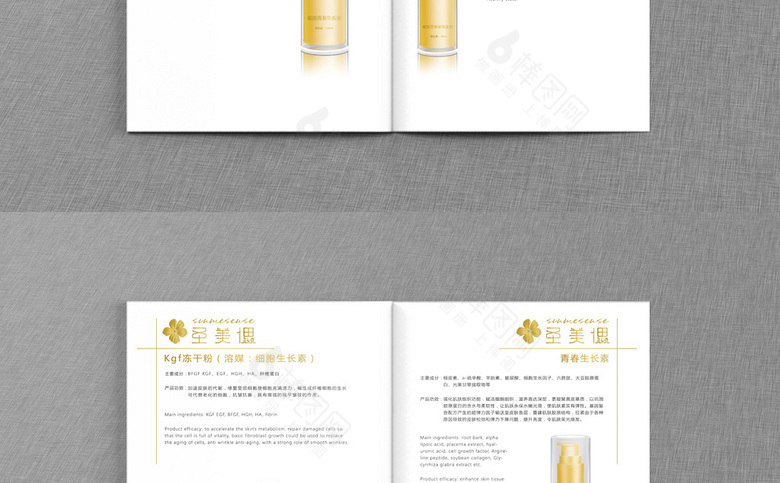 简约精美化妆品画册