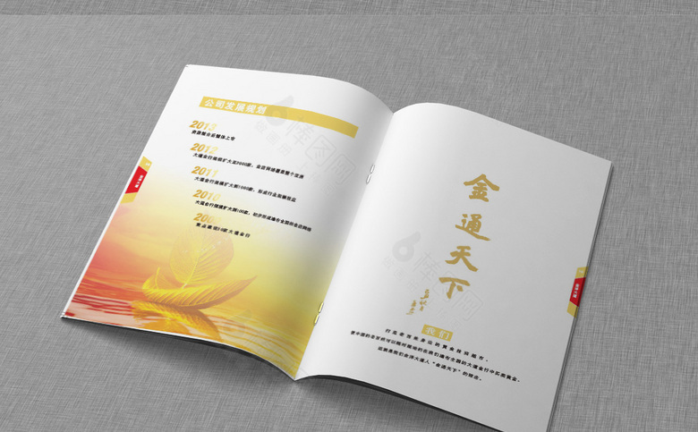 精美黄金画册