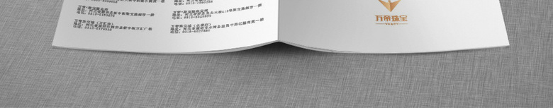 白色大气珠宝画册