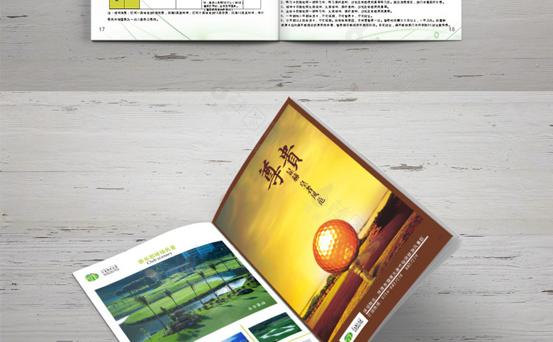 简约高尔夫画册
